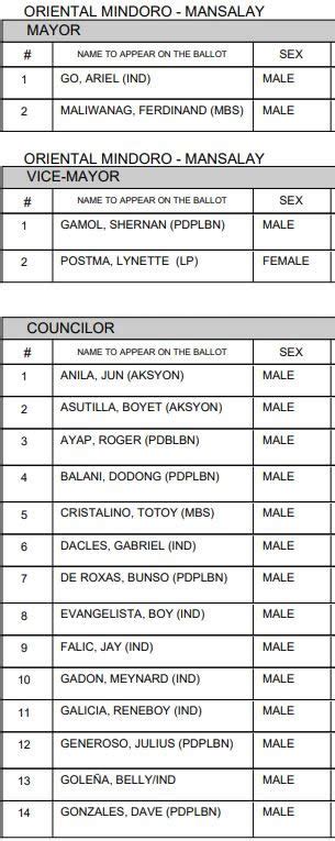 mayor of mansalay oriental mindoro|2022 Oriental Mindoro local elections .